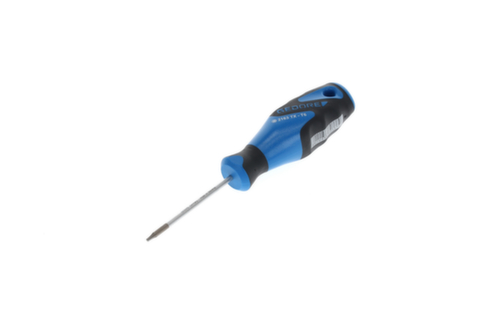 2163 Schroevendraaier TX T6 3C