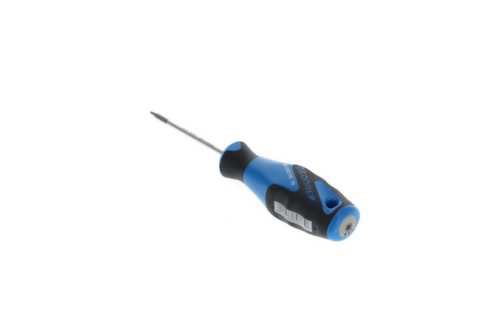 2163 Schroevendraaier TX T6 3C