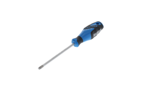 2163 Schroevendraaier TX T40 3C