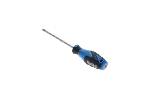 2163 Schroevendraaier TX T40 3C