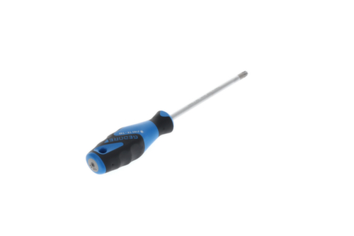 2163 Schroevendraaier TX T40 3C