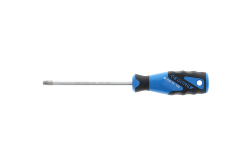2163 Schroevendraaier TX T40 3C