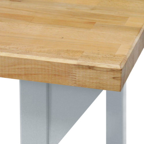 Werkbank met massief beukenhouten blad