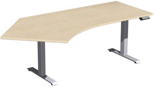 Gera Elektrisch in hgte vst. hoekbureau Elevate Basic