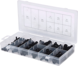 KS Tools Assortiment de vis à six pans creux