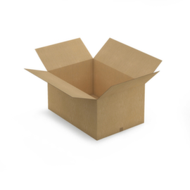 Caisse carton brune RAJA