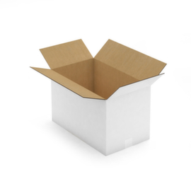 Caisse carton blanche RAJA