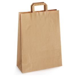250 sacs kraft bruns à poignées plates RAJA
