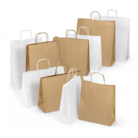 100 sacs kraft à poignées torsadées RAJA