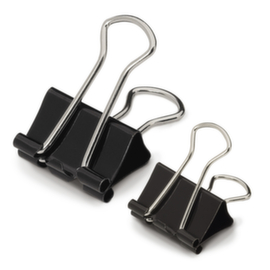 12 pince double clip RAJA