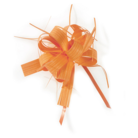 50 nœuds effet raphia orange