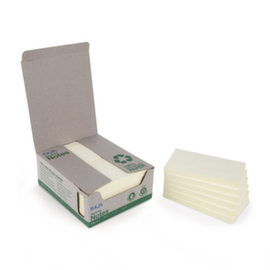 Notes 100 % recyclées RAJA