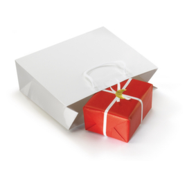 25 sacs pelliculés blancs 190 x 100 x 270 mm