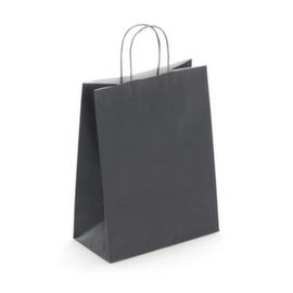 Sac kraft à poignée torsadée RAJA