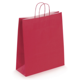 Sac kraft à poignée torsadée RAJA