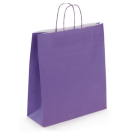 Sac kraft à poignée torsadée RAJA