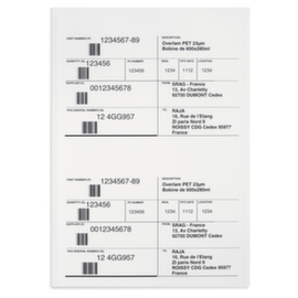 Etiquette adhésive extra-résistante 210 x 148 mm