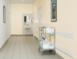 Moravia Wandbescherming MORION