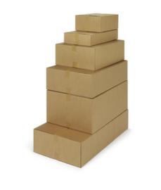 Golfkartonnen vouwdoos