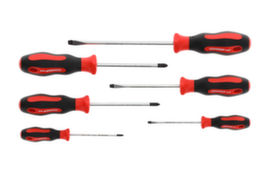 GEDORE R38002006 2C-schroevendraaierset PH+SL 6 stuks