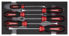 R22150014 Schroevendraaierset PZ+SL 2/6 CT-module 6-delig