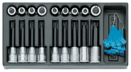 1500 ES-ITX 19 LKP Set schroevendraaierbits 1/2" in 1/3 ES-module