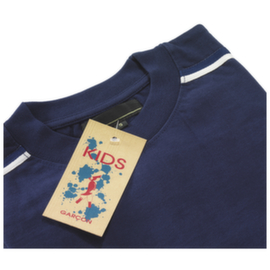 Standaardpins in doorschijnend polypropyleen 40mm