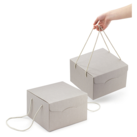 Presentatiekoffer van microgolfkarton 24,5x24,5x15 cm