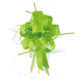 Anijsgroene strik met raffia-effect