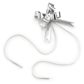 Zilveren strik met spiegeleffect