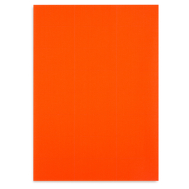 Zelfklevende etiketten in fluokleuren 70x37 mm rood