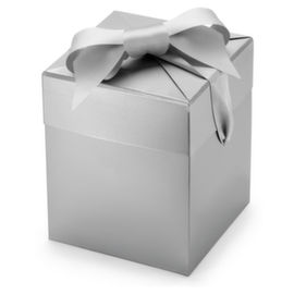 Grijze lakpapieren geschenkdoos met satijnen lint