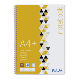 Spiraalblok Standaard 230 X 297 mm geruit 5 x 5 mm Raja