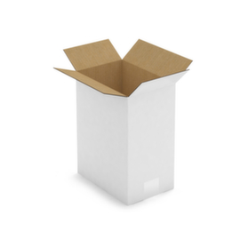 Witte doos van enkelgolfkarton Raja 23 x 15,5 x 30 cm